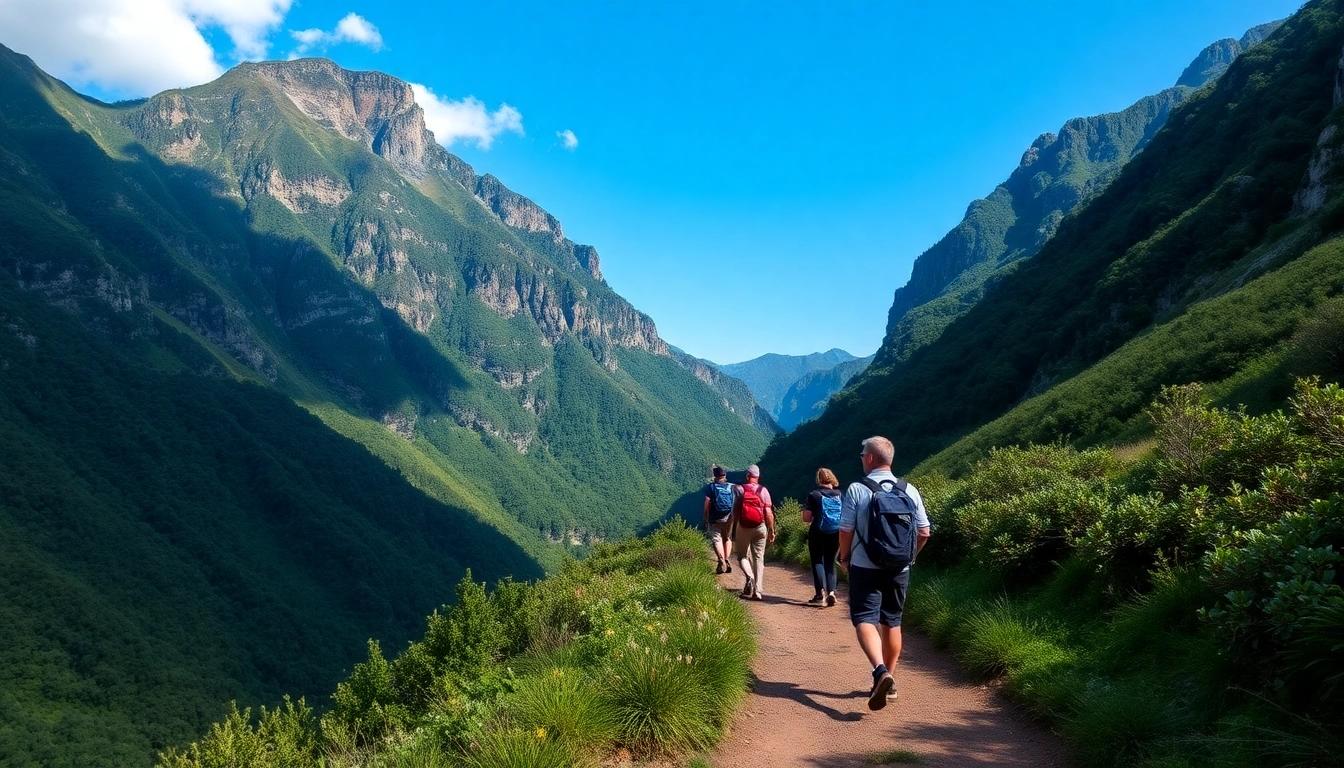 A guided trek through lush mountains with a knowledgeable guide leading a small group on a scenic trail, perfect for adventure seekers and nature lovers.